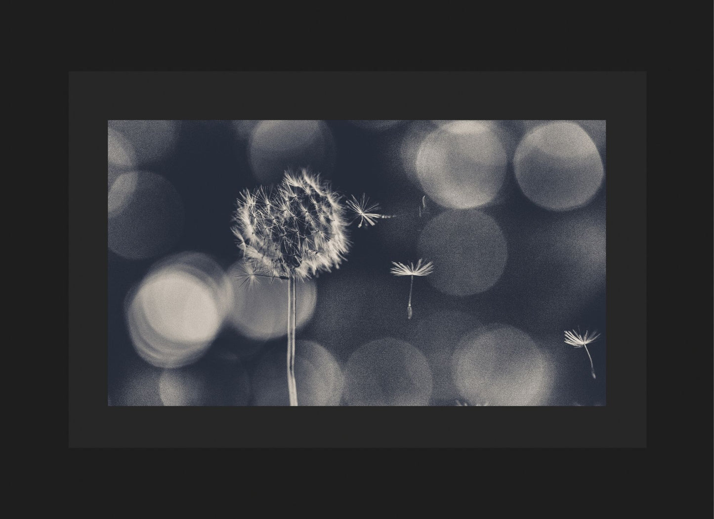 Wish