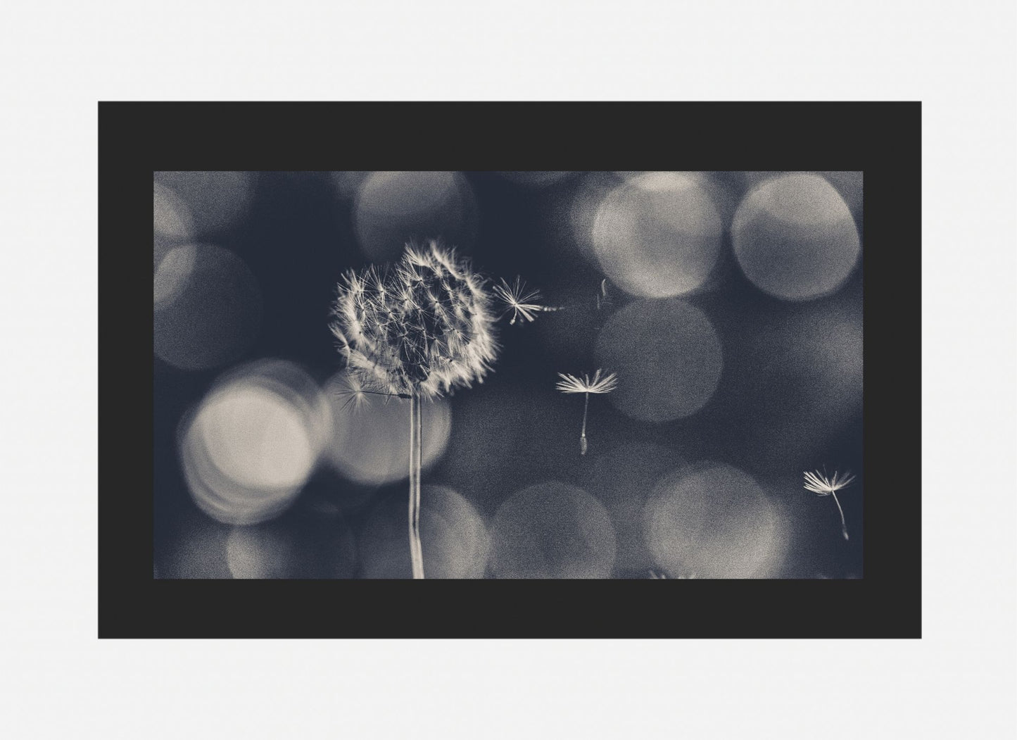 Wish