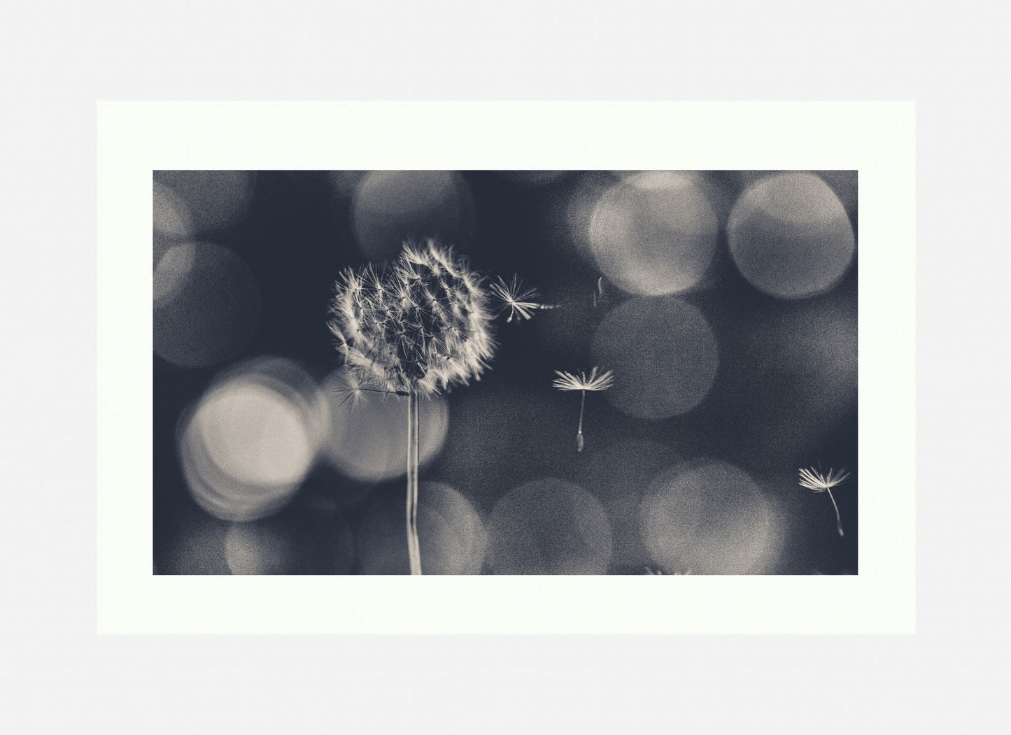 Wish