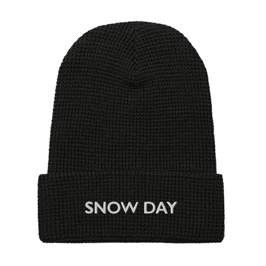 Snow Day Waffle beanie