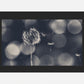 Wish