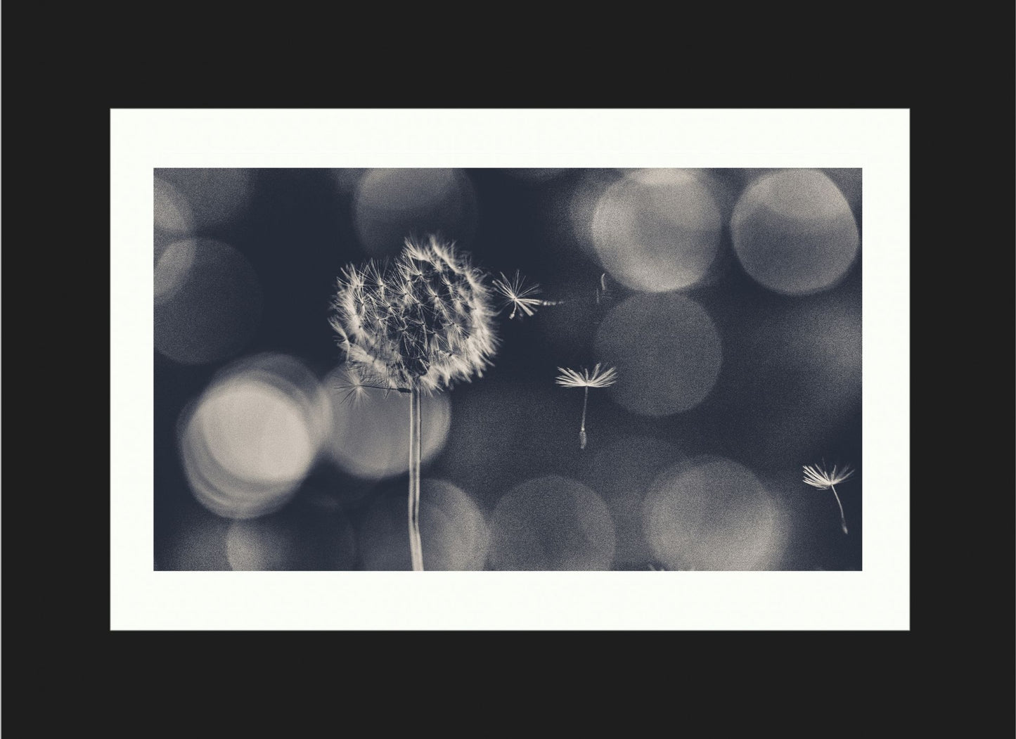 Wish
