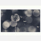 Wish