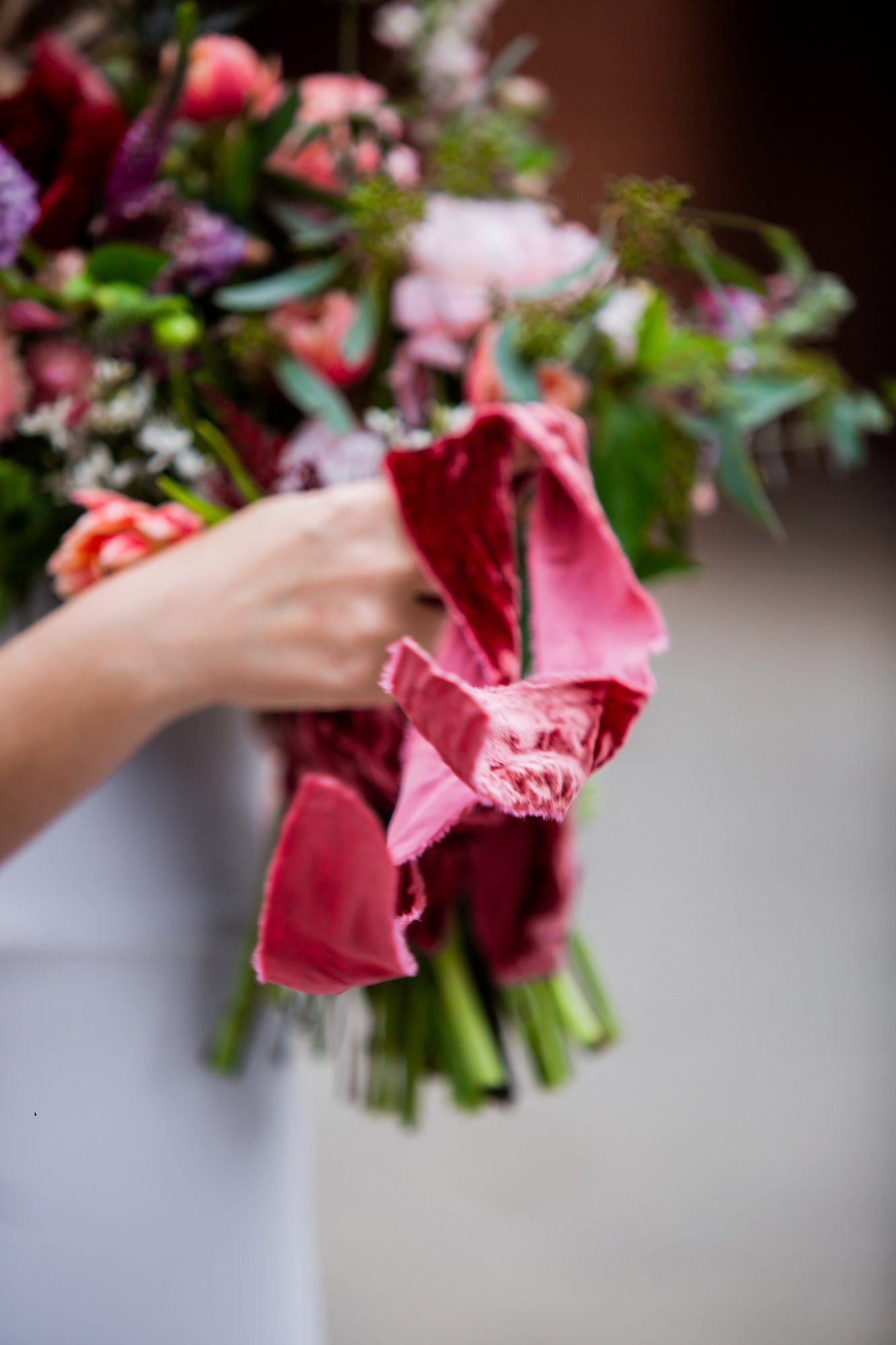 Rose Pompadour